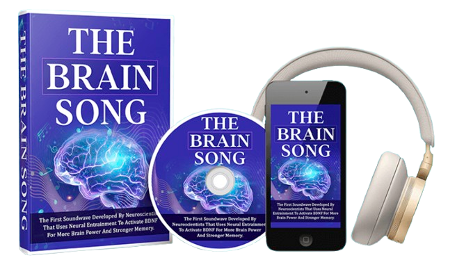 The Brain Song Review - Neuroscience Visualization